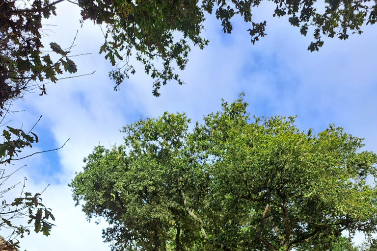 Queimadas Caldeirão Verde Walking tour with guide