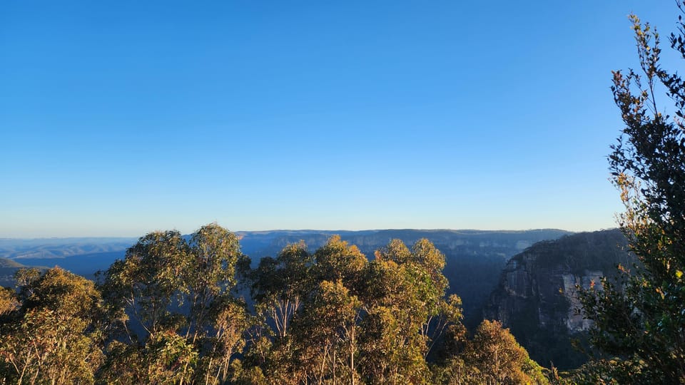 Sydney Blue Mountains Scenic World Featherdale Getyourguide