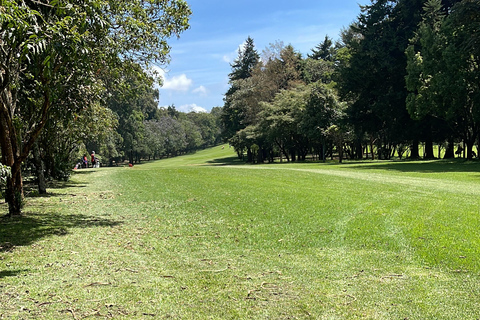 Nairobi: Golfing Experience with Local Golfer