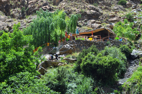 Day Trip To Ouzoud Waterfalls & Boat Ride From Marrakech