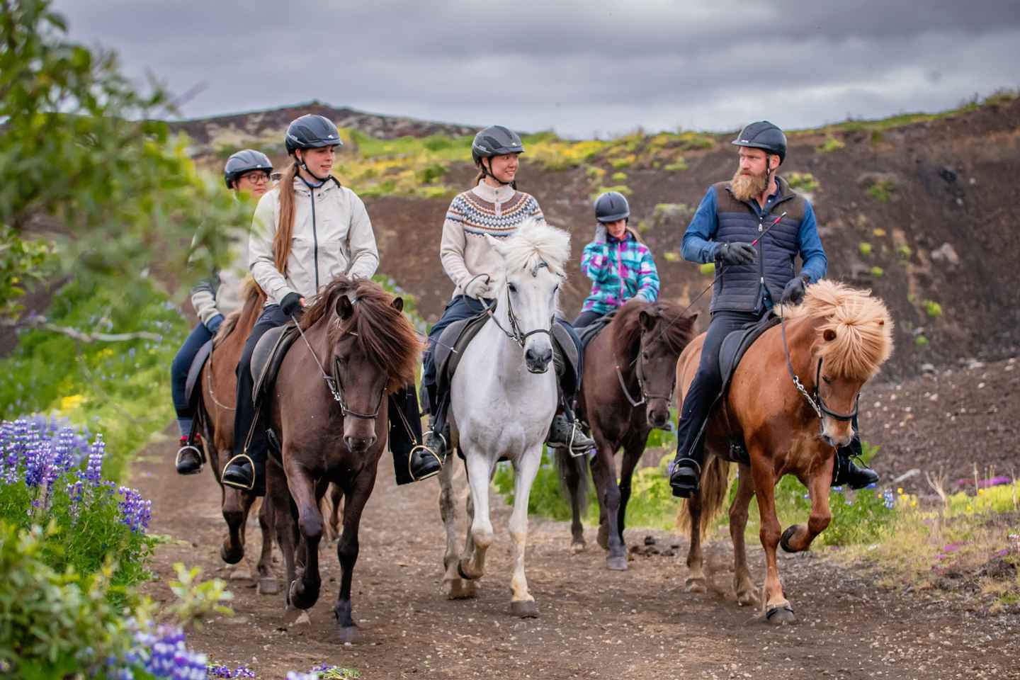 Reykjavik: Small-Group Mjölnir Afternoon Horse Riding Tour