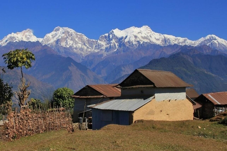 Depuis Pokhara : 3 jours de randonnée sur le sentier du Grand Machhapuchhre (GMT)Pokhara : Magnifique trek de 2 jours à Khumai Danda