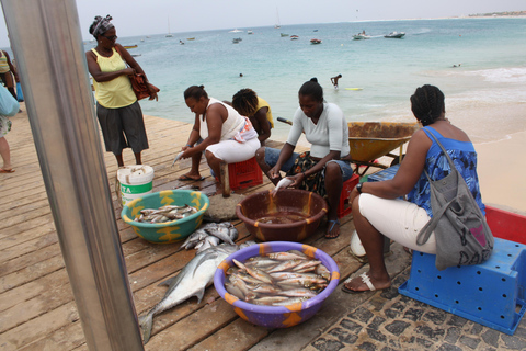 Sal Island: Full-Day Highlights Tour with a Local Guide (Pick-up Included) Private tour: