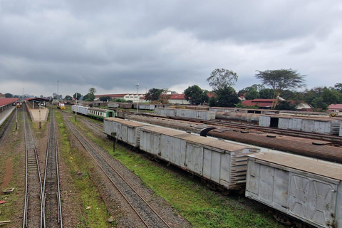 Nairobi: Rundvandring med kultur och historia