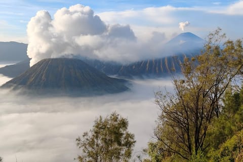 From Bali: Bromo & Ijen Crater 3-Day Tour with All Tickets