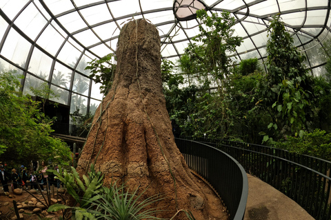 Bogotá: Botanical Garden Sightseeing Tour and Visit to the Paloquemao Market with Fruit Shared Sightseeing Tour + Tickets + Fruit