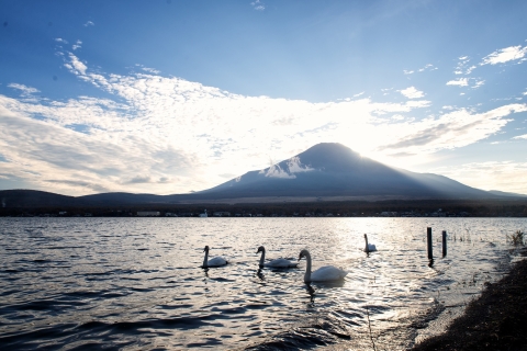 Visita Turística Privada de Día Completo al Monte Fuji y HakoneVisita turística privada de 1 día al Monte Fuji desde Tokio