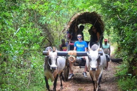 Safari por la aldea de Sigiriya con almuerzoVisita al pueblo