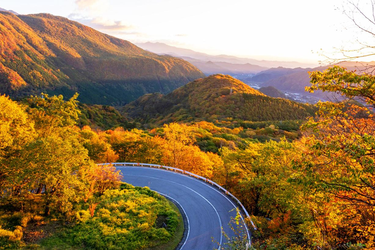 From Tokyo: Nikko UNESCO Shrine and Nature View Day Tour From Tokyo