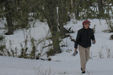 San Martín de los Andes: Private 4x4 Snow Forest Tour
