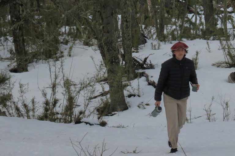 San Martín de los Andes: Private 4x4 Snow Forest Tour