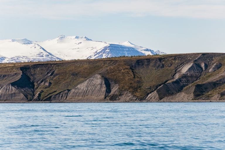 Akureyri : croisière de 3 h d'observation des baleines
