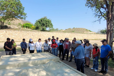 Oaxaca: Monte Albán Tour with Breakfast at Abastos Market