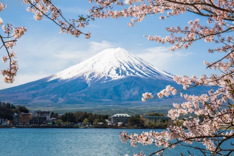 Excursión privada de día completo al Monte Fuji y Hakone