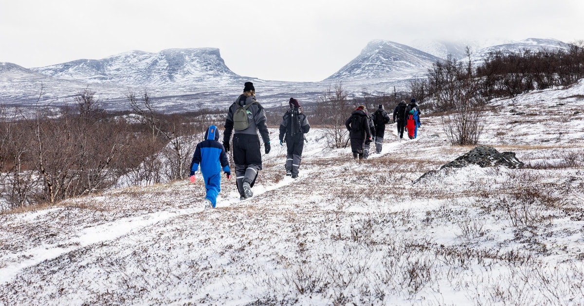 Abisko: ruta de senderismo guiada privada en el parque nacional de ...