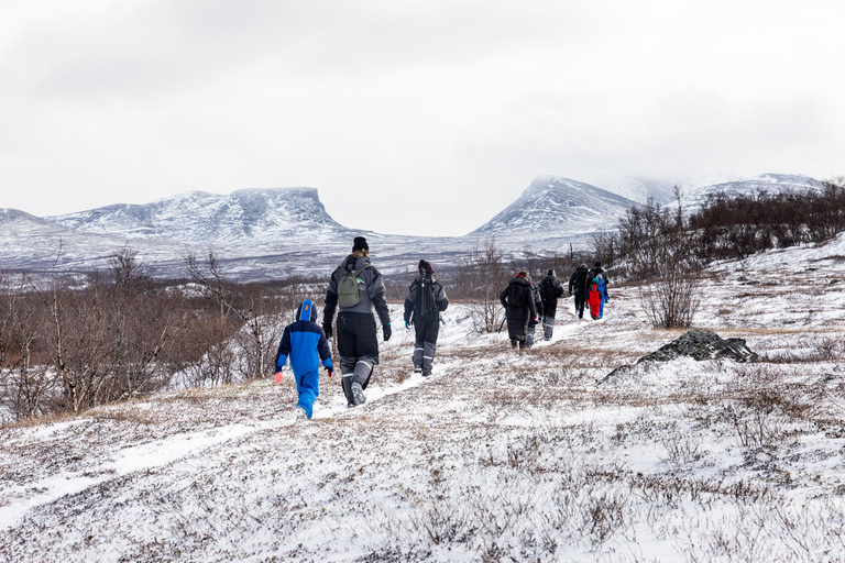 Abisko: Private Guided Hike in Abisko National Park