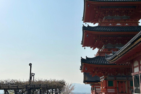 Kyoto: Kiyomizu & Gion Full-Day Tour with Dinner