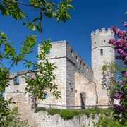 Regensburg: Regional Castles and Roman Heritage