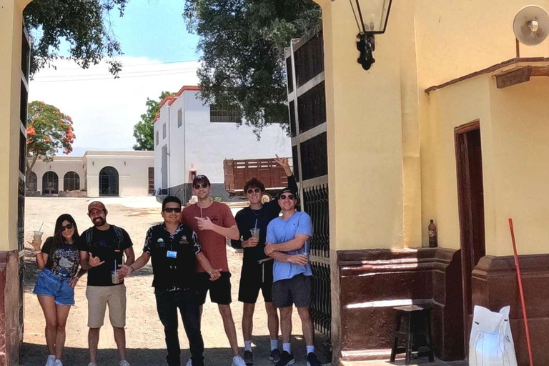 Experiencia de vino, pisco y buggy