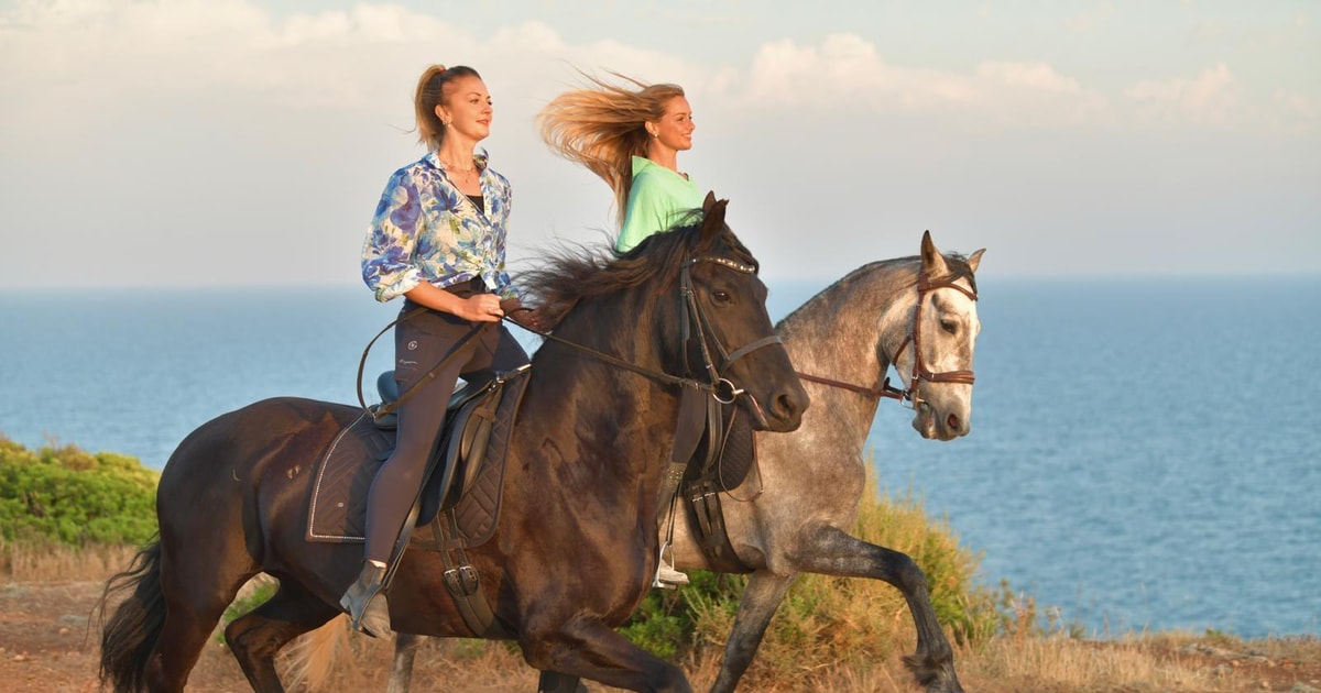 Cliffside Horseback Riding in the Algarve | GetYourGuide
