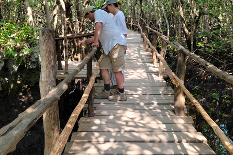 Zanzibar: tour guidato della foresta di Jozani con trasferimento in hotel