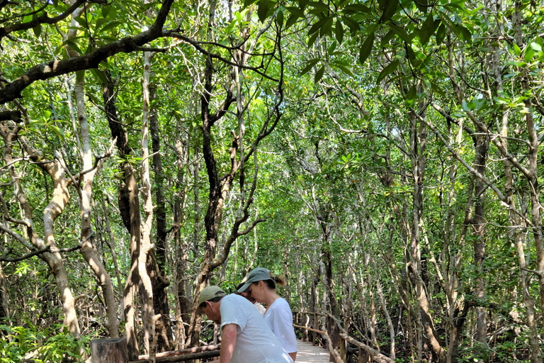 Zanzibar: tour guidato della foresta di Jozani con trasferimento in hotel