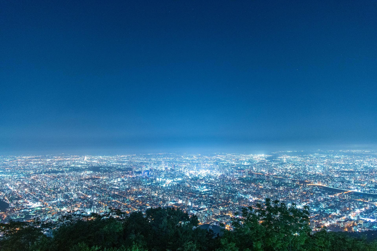 سابورو: جولة تلفريك جبل مويوا - ليلاً أو نهاراً، 4 خياراتاليوم – RT المحلي