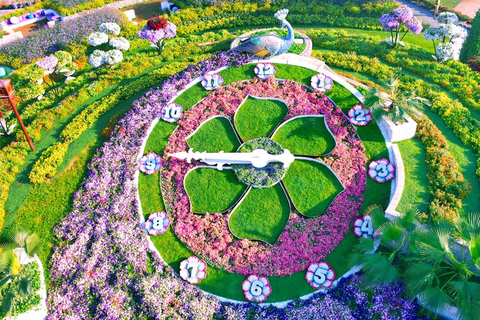 Dubai: Inträdesbiljett till Miracle Garden med transfer till hotelletDubai: Inträdesbiljett till Miracle Garden &amp; privat transfer till hotellet