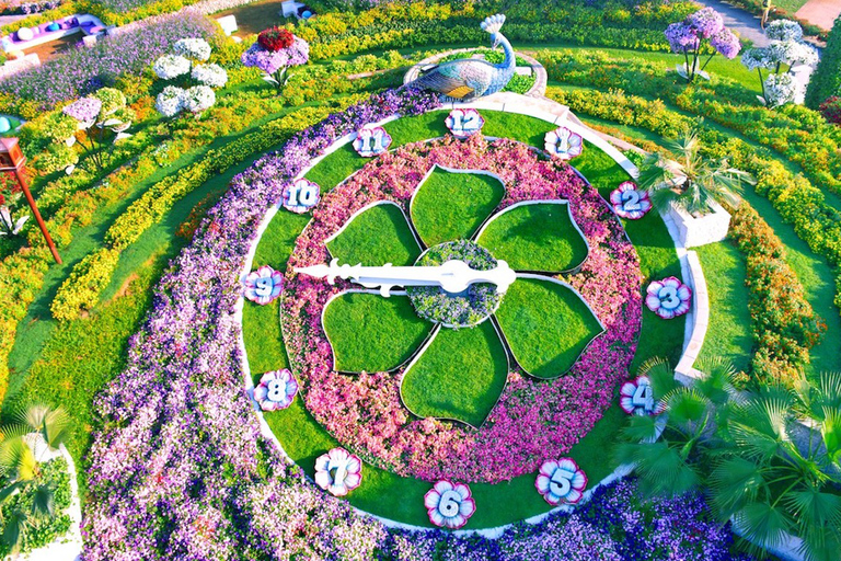 Dubai: Inträdesbiljett till Miracle Garden med transfer till hotelletDubai: Inträdesbiljett till Miracle Garden &amp; privat transfer till hotellet