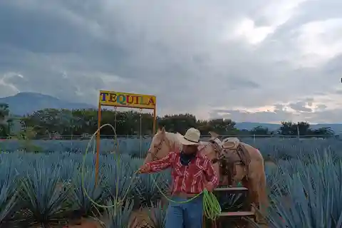 Wejdź do Chile: dowiedz się wszystkiego o tequili w "La Rienda"