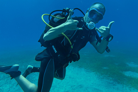 Curso de mergulho para iniciantes na área das tartarugas em TenerifeCurso de mergulho privado para iniciantes no parque natural de Tenerife