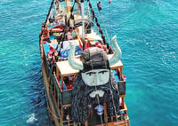 Visite en bateau de Manavgat River et temps libre sur le marché - Housity