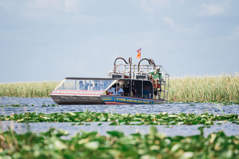 Miami: Passeio de aerobarco e encontros com jacarés no Wild Everglades