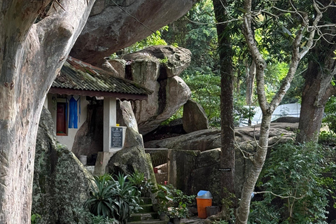 From Colombo: Cave Temples, Jungle Trek & Waterfall Swim