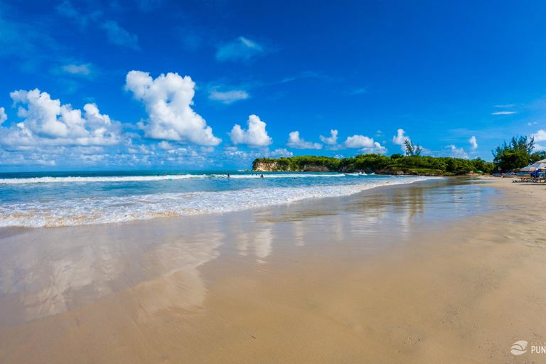 Punta Cana: Higüey Safari Tour met paardrijden