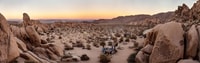 Parque Nacional Joshua Tree, gira y caminata - Housity