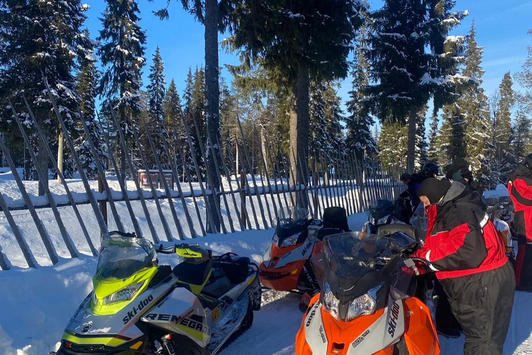 Pyhä: Forest Trails Snowmobile Safari Pyhätunturi: Forest Trails Snowmobile Safari