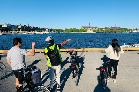 Stockholm's Best Bike Tour! (English or German) Bike Tour German