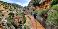 From Málaga, Caminito del Rey Guided Tour with Bus - Housity