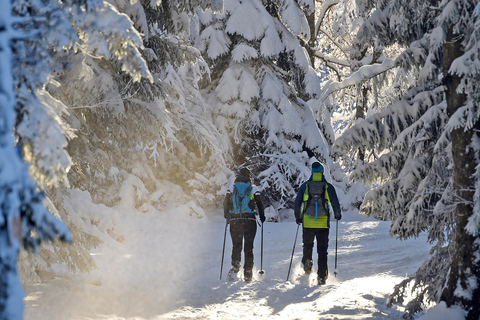 Portland: Mt. Hood Snowshoe Adventure with Lunch