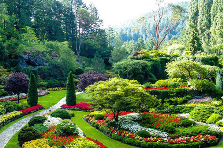 4D Batumi Essence Tour with guide 4D Batumi Essence Tour without guide