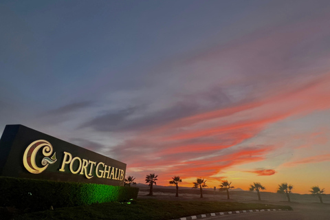 Marsa Alam: Sunset Snorkeling Trip with Turtles & Dugong