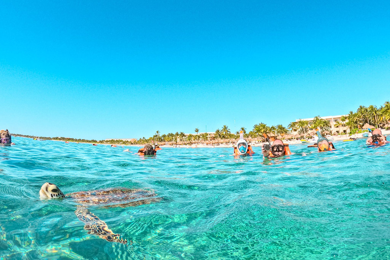 Akumal: Sea Turtles Snorkeling Tour with Park Entry Fee