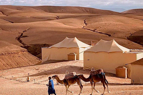 De Marrakech: Viagem de um dia às montanhas do Alto Atlas e aos 4 vales