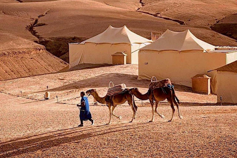 Au départ de Marrakech : Excursion d'une journée dans le Haut Atlas et les 4 vallées