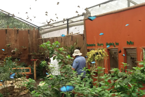 Quito: Waterfall, Hummingbirds, Butterfly Tour, Equator line