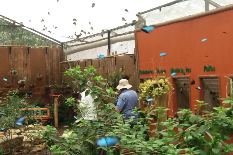 Quito: Waterfall, Hummingbirds, Butterfly Tour, Equator line