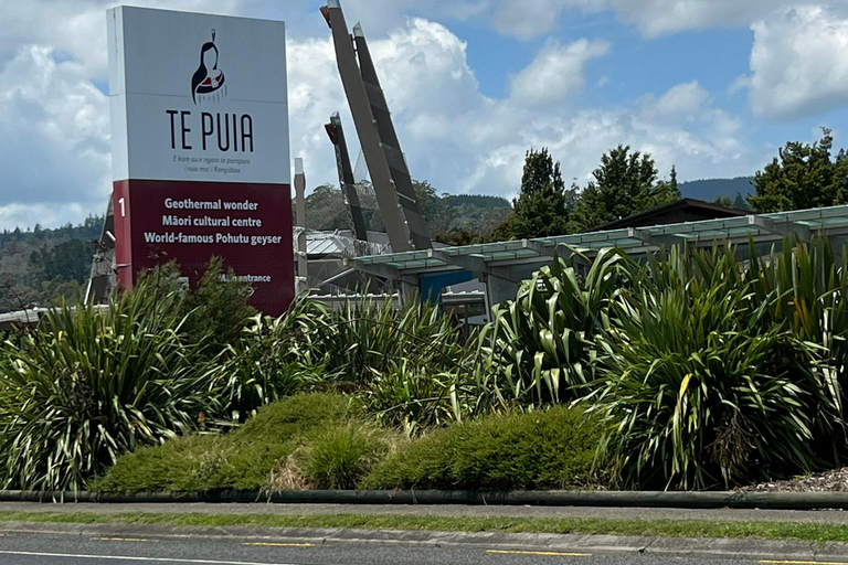 Privat dagsutflykt till Te Puia Rotorua