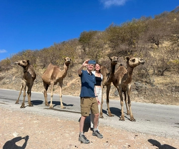 East of Salalah, Mountain, Camels, Waterfall, White beach