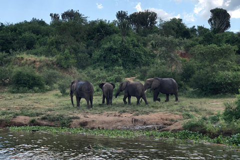 Ouganda : 3 jours de safari dans le parc national Queen Elizabeth